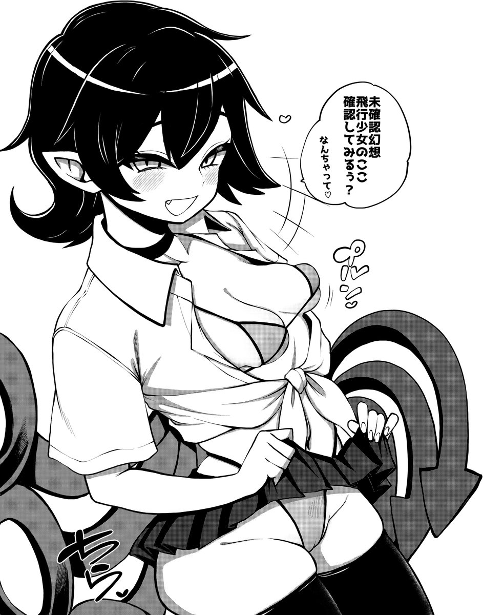 未確認幻想飛行少女の謎にせまるべく我々はぬえっちょのお口へと飛び込んだ!! 