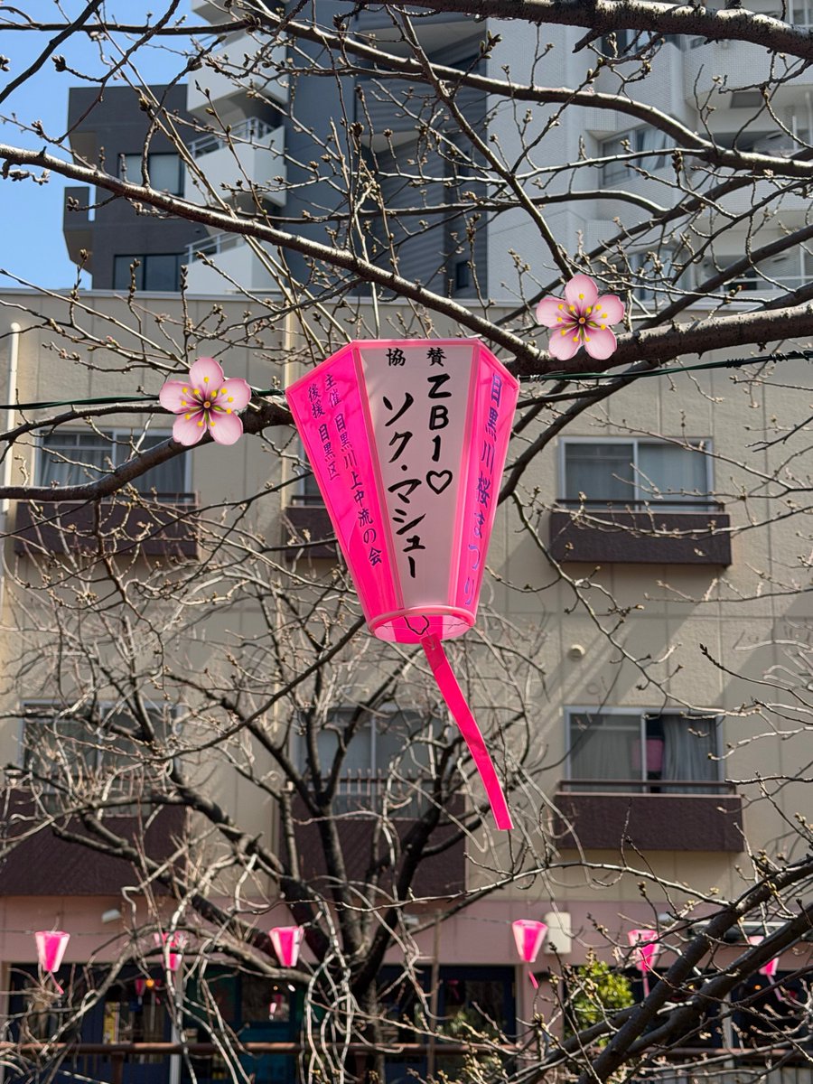 今年も目黒川に提灯だしました🌸
メテュも綺麗な桜を見れますように^> ·̫ <^🌸

📍中目黒アトラスタワー裏 宝来橋辺り

#석매튜 #SEOKMATTHEW
#ZEROBASEONE