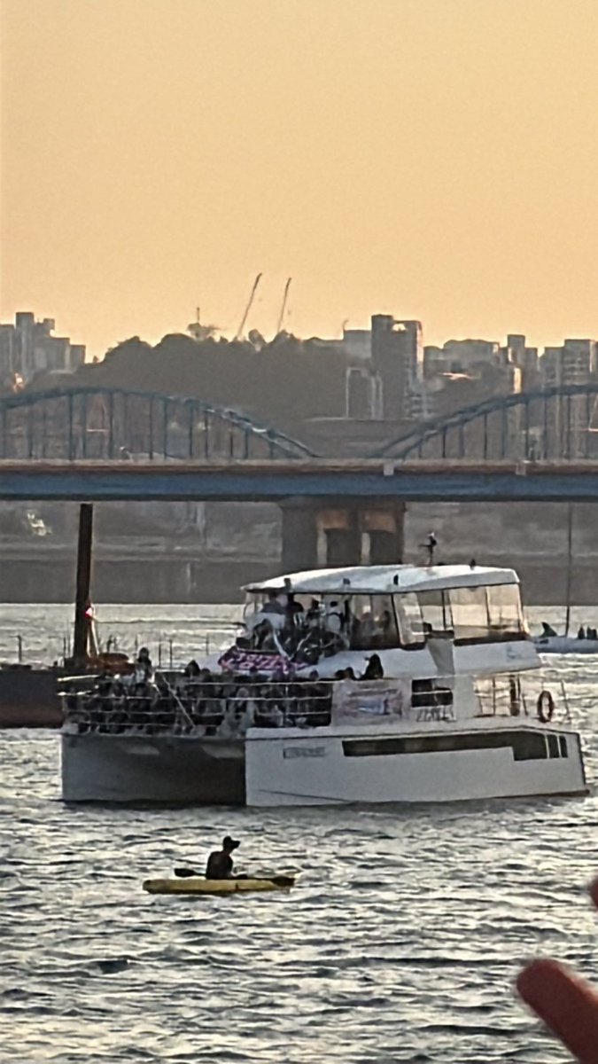 Fin ◠‿◠ tweet media