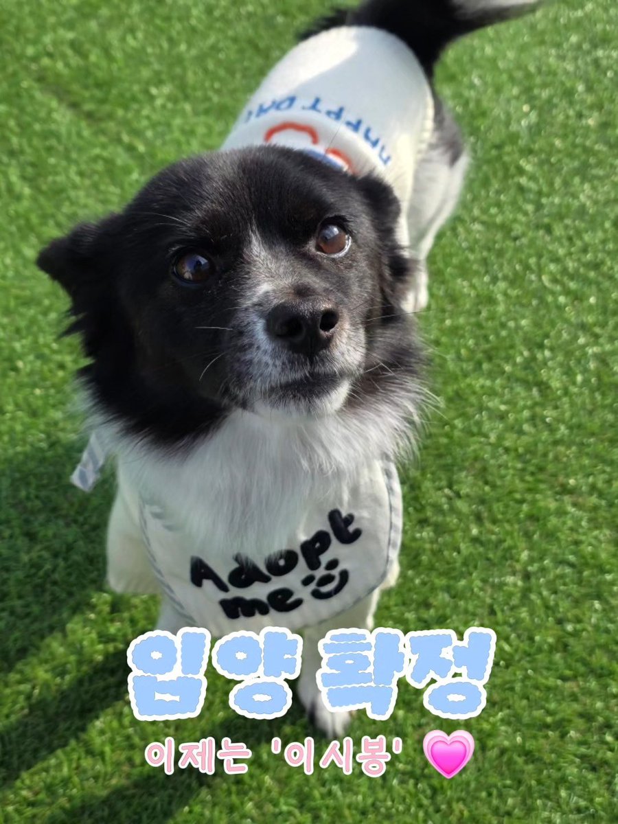 춘봉 : 가족 찾았어요! 🍙 tweet media