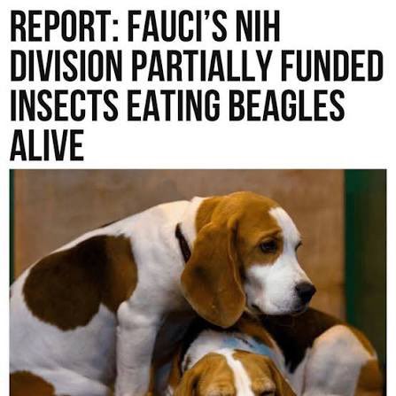 Janie Johnson - America is Exceptional tweet media