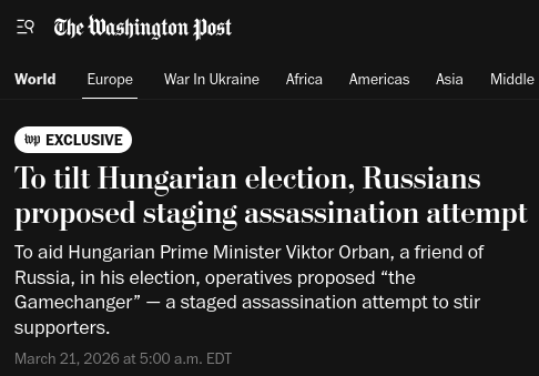 Daractenus tweet media