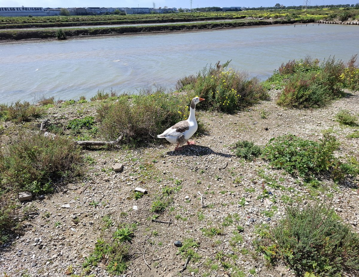 Antonio Delgado 🧔🏻♂️ tweet media