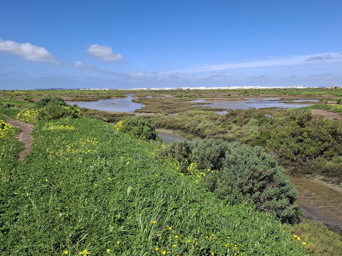 Antonio Delgado 🧔🏻♂️ tweet media