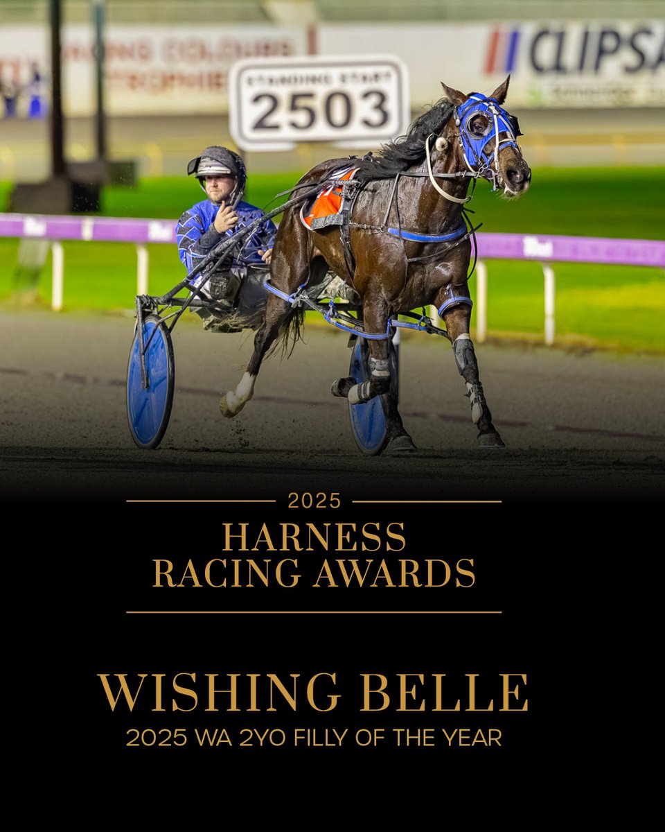 Racing WA - Harness tweet media