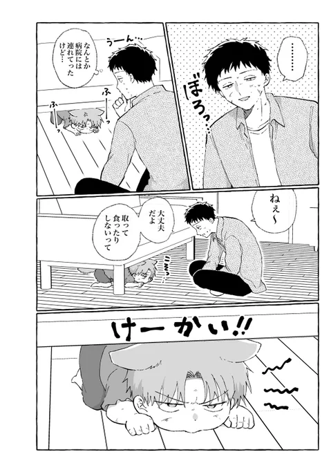 3/3
『ぷにぷにきゃわわ!わんにゃんパロ漫画集2026』

この2人の出会いのお話が入った
150P超のわんにゃんパロ新刊をJ庭で頒布します!

📙通販開始してます!(書籍版とDL版)↓
https://t.co/yP9VWTis9G 