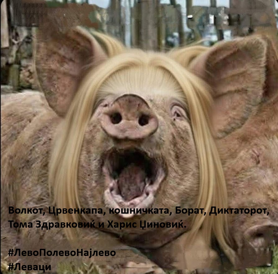 Robert John Linder ₿⚡ tweet media