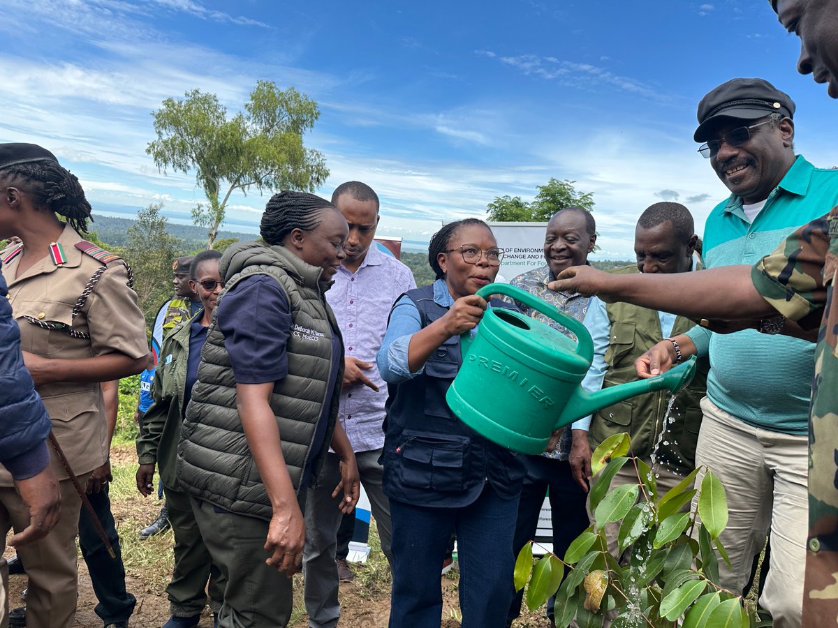 FAO in Kenya tweet media