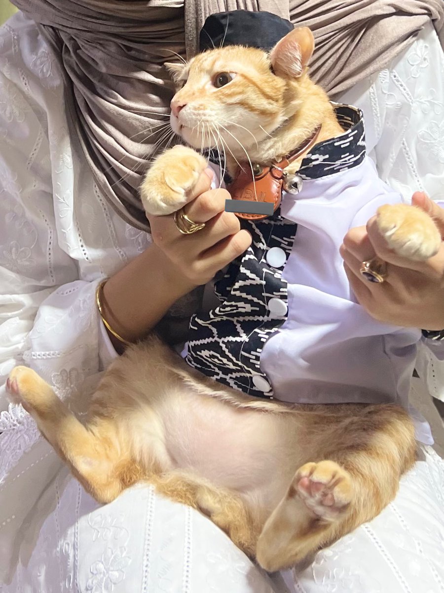 ( ◕◡◕)っ tweet media