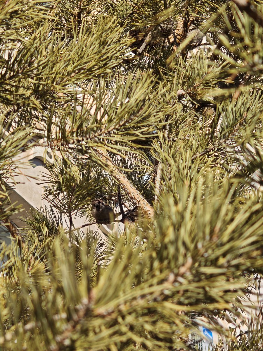 Буханка ржаного и грешная шизнь. tweet media