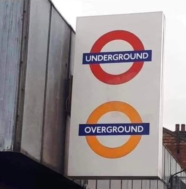 Scott Cheggs tweet media