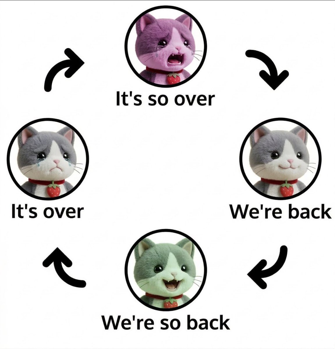 Catberry tweet media