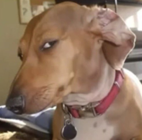 🩵Cierra Rainsoul🩵 tweet media