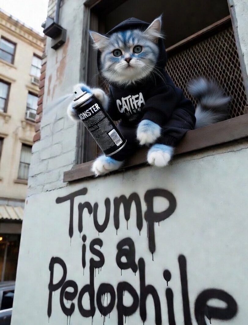 Subi-doo 🐸 tweet media