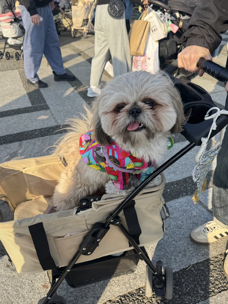 ナナリジ tweet media