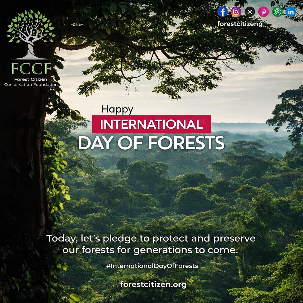 Forest Citizen Conservation Foundation tweet media