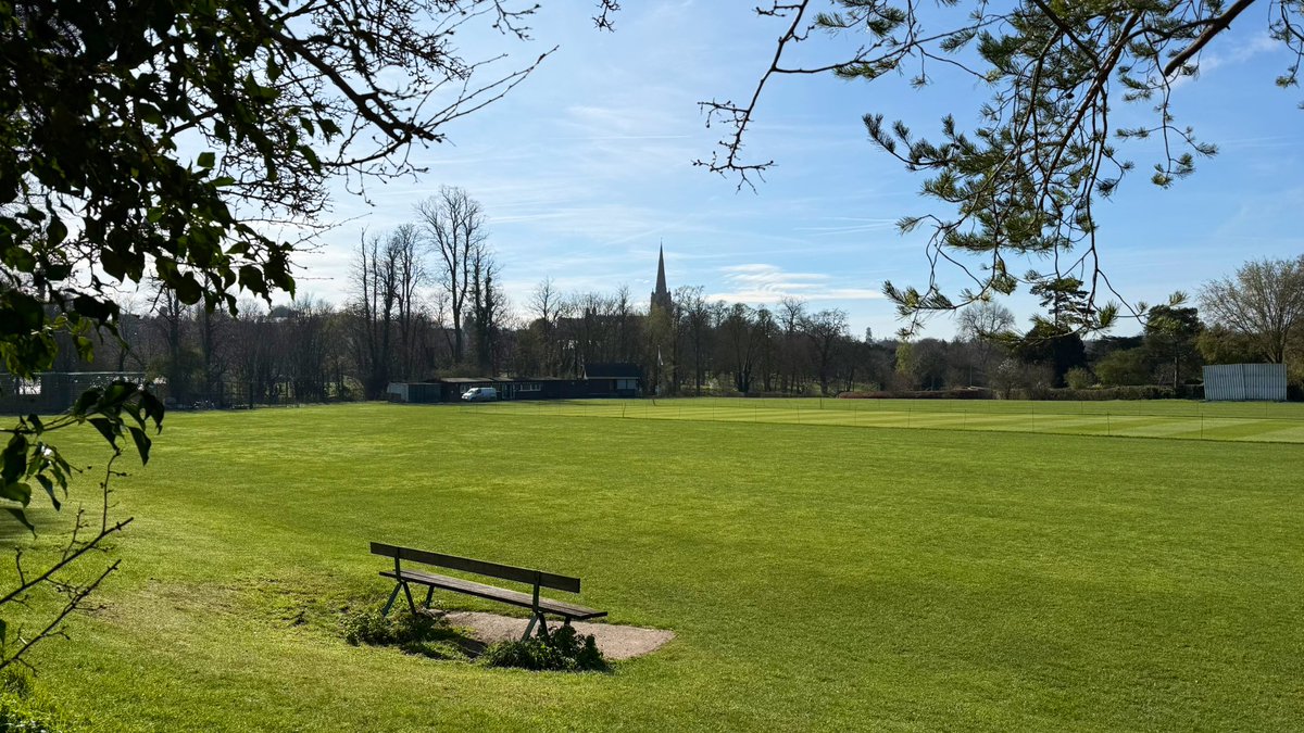 WG RumblePants tweet media