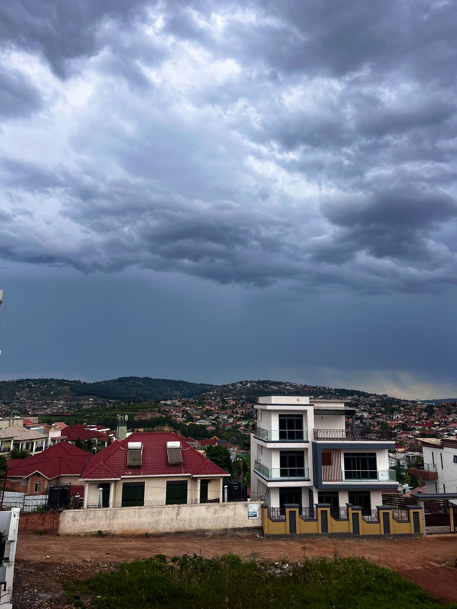 Faith The Bushgirl 🦁 tweet media