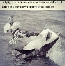 R.I.P. Chuck Norris, no auge da fama, reagindo a um ataque de tubarão.

:Liberty or Death