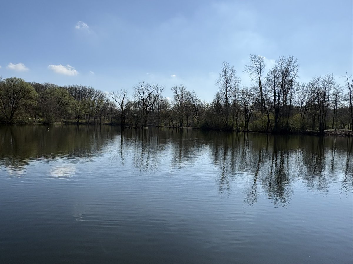 Rosander tweet media