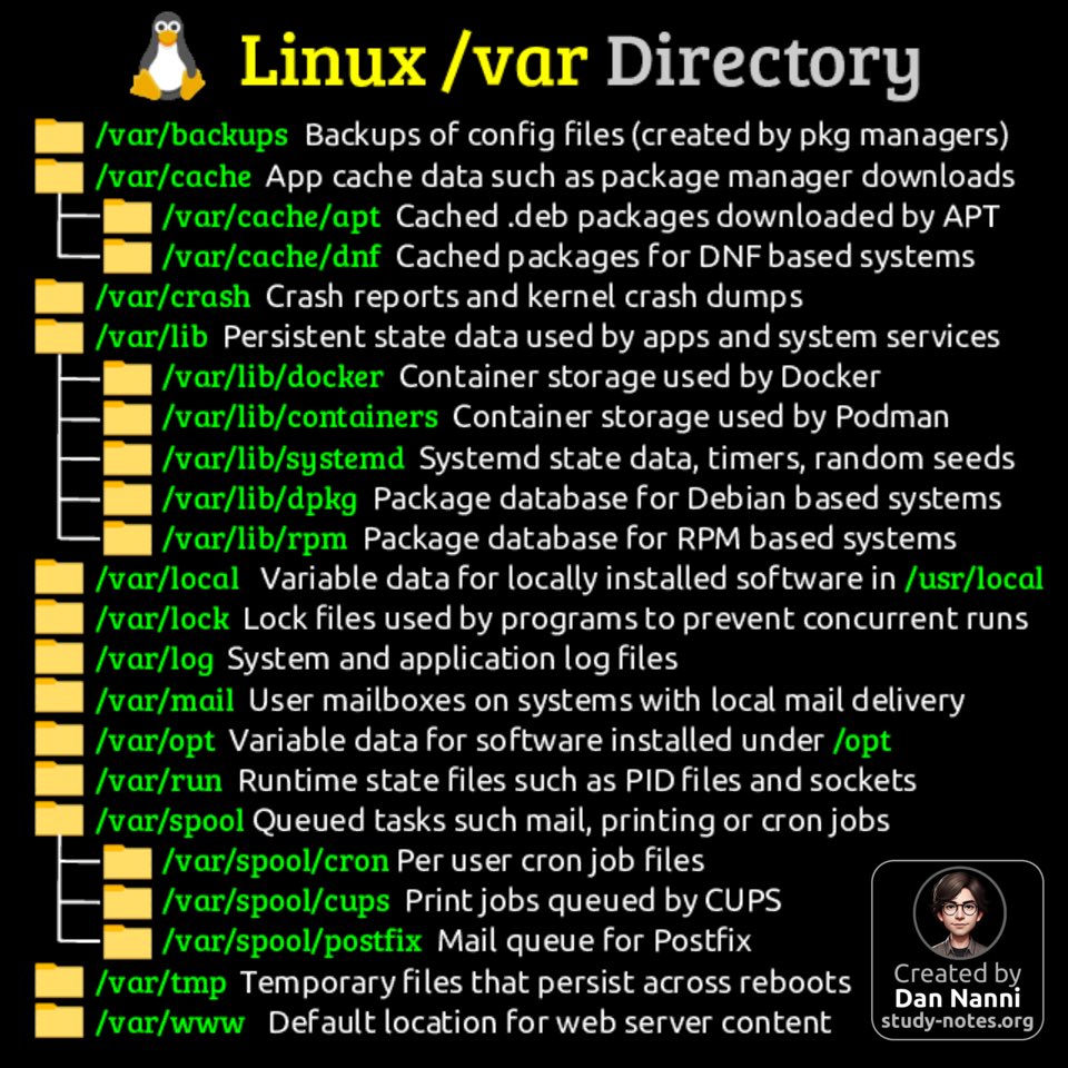 Dan Nanni tweet media