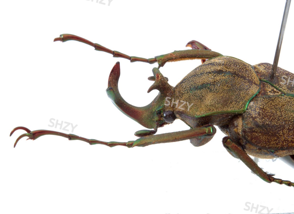 SundayFenn tweet media