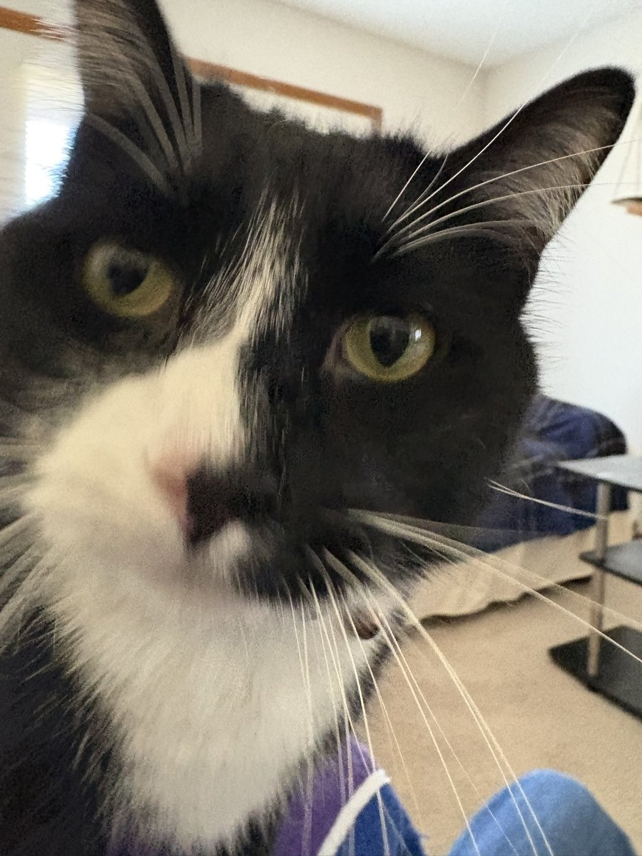 Claire Long tweet media