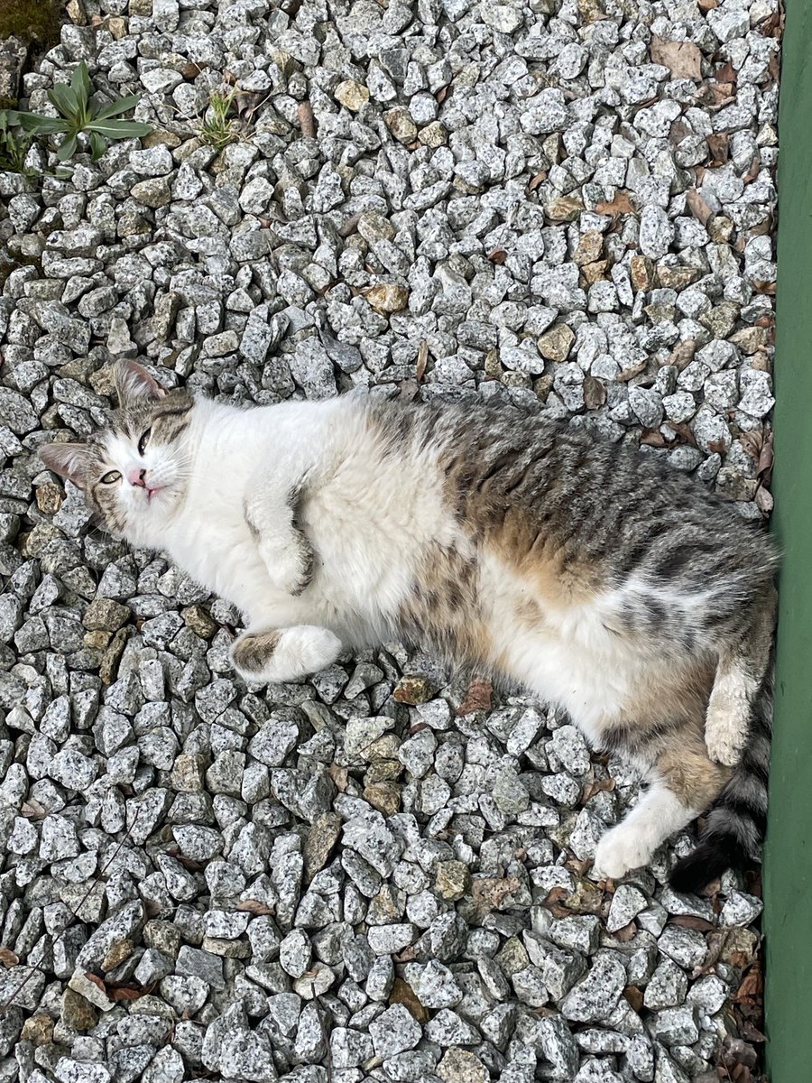 Wnuczka Dziadka Teodora tweet media