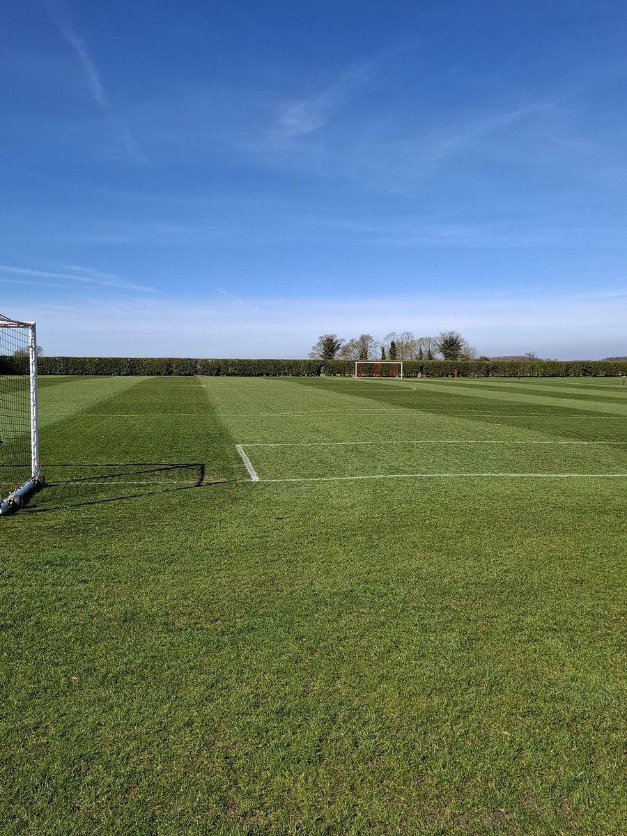 matthew bailey tweet media