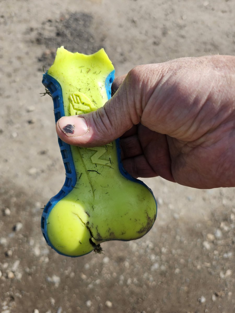 D'Tractor Mark tweet media