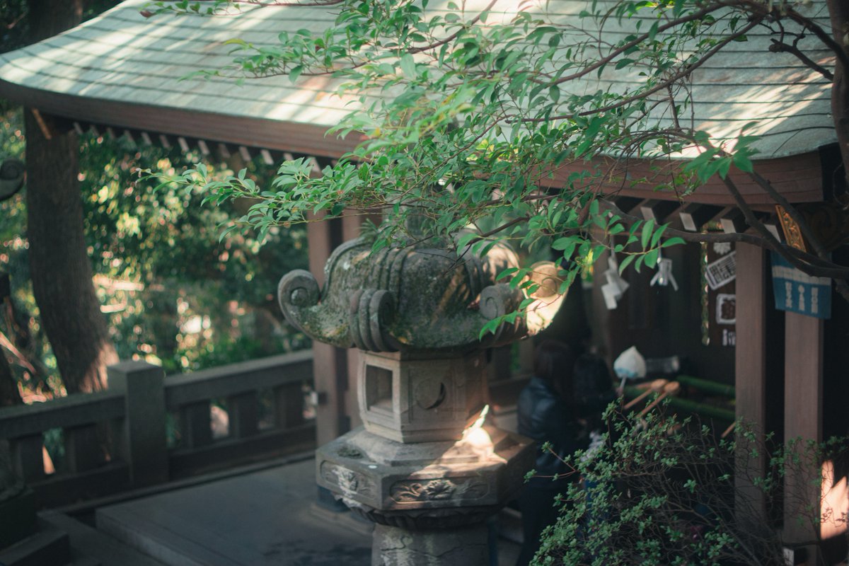 陽▶︎ 東1 し29ab🧣売り子 tweet media