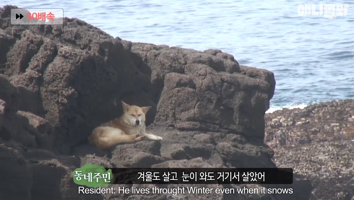 Chad delling 🟢 $AWR tweet media