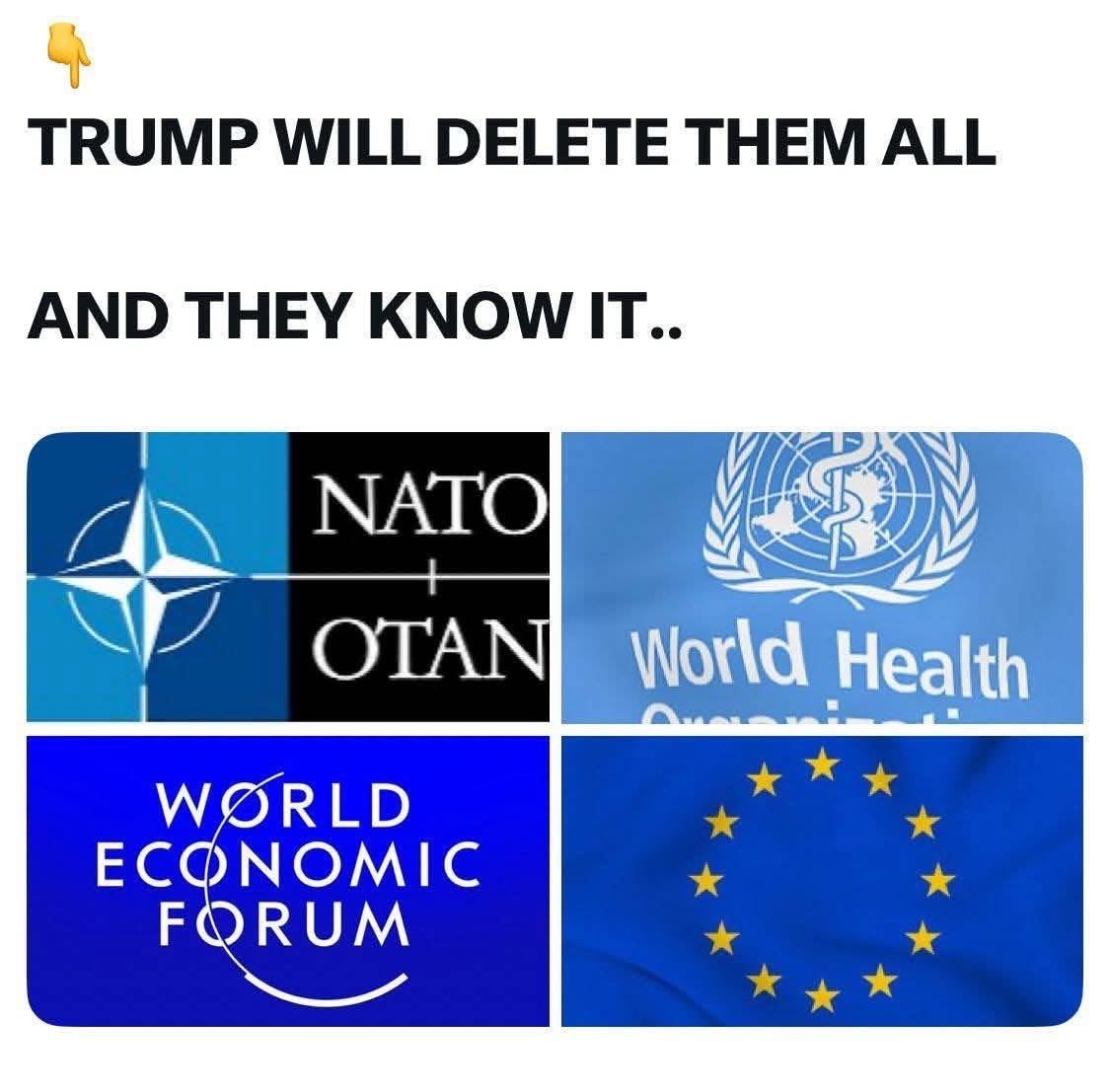 Shayli17 🐸Q☔️ tweet media