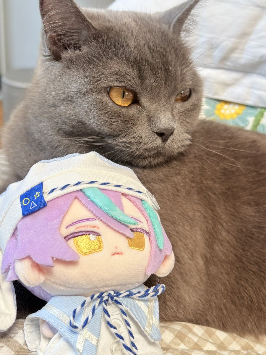 Fattore&vodka tweet media