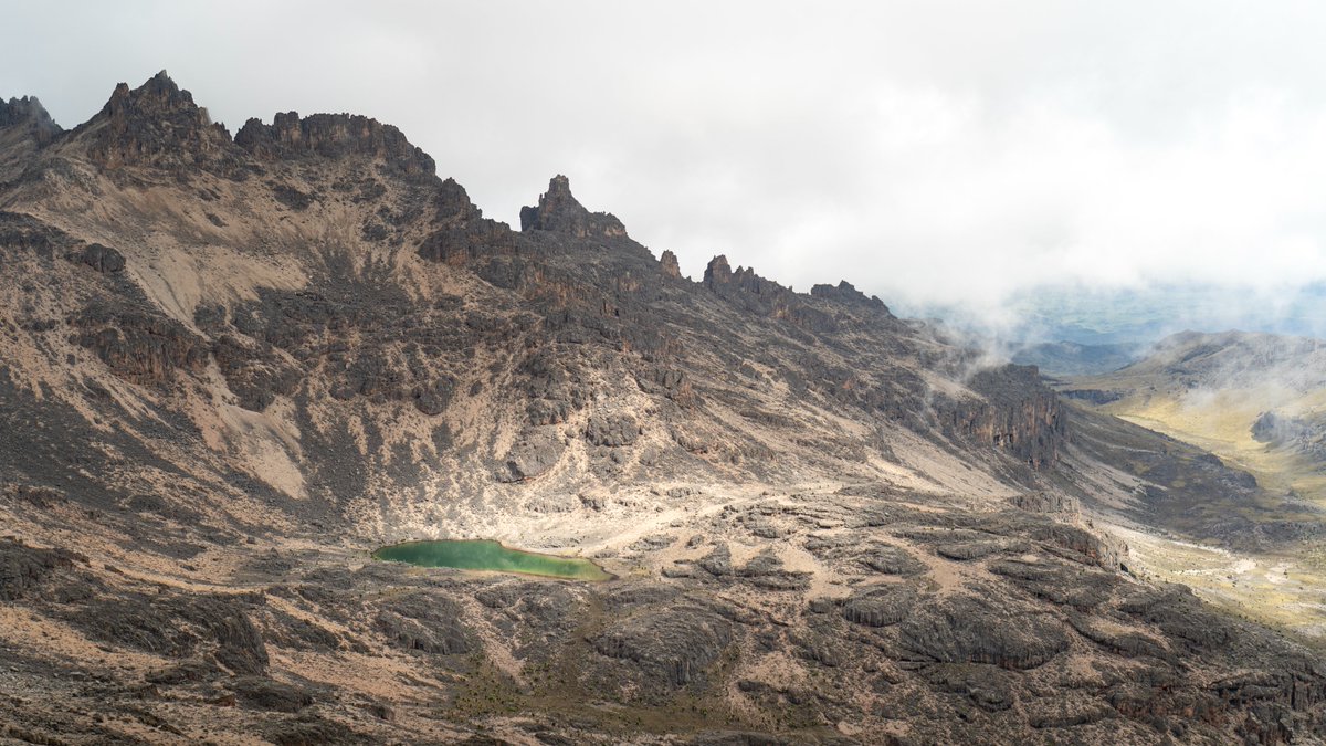 Global Environment Facility (GEF) tweet media