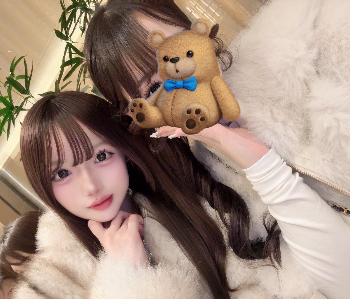 白瀬もも🐇 tweet media