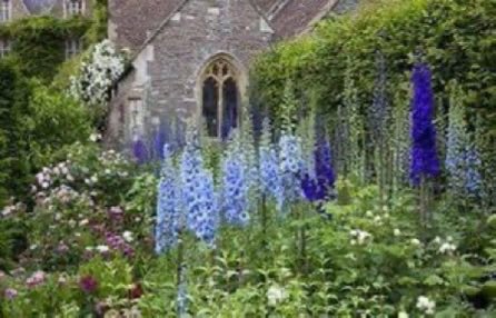 thegardenvsw's tweet photo. If we were left with only one kind of herbaceous perennial, the delphinium would have to rank very high in the list of choices. #gardening https://t.co/eMAyXLN5ob