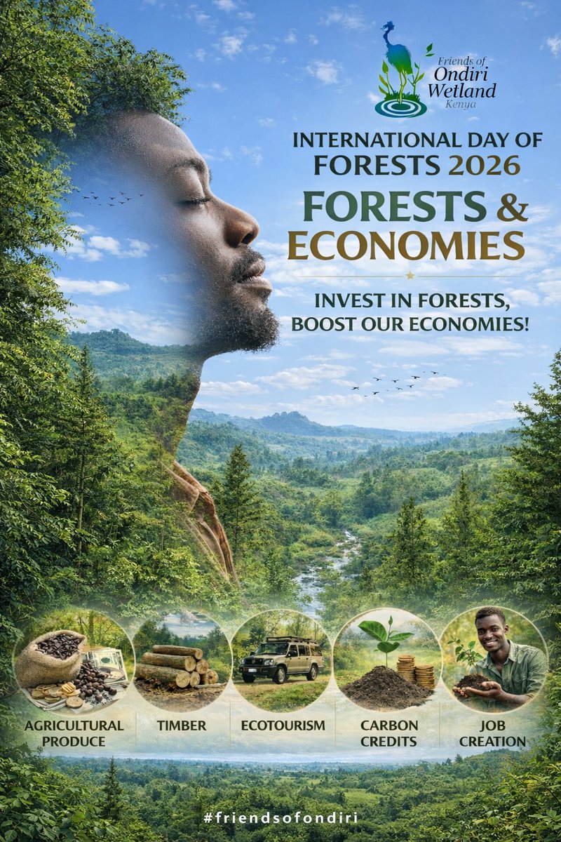 Taita Apalis tweet media