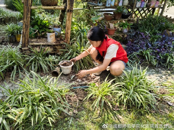 Bonnie Spitze tweet media