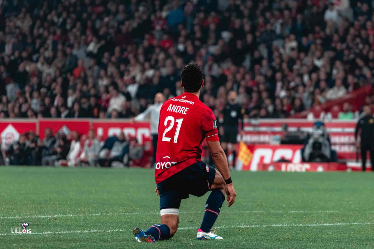 Le Petit Lillois ⚜️ tweet media