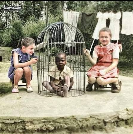 Romeu in ˢPain 🇺🇦🇪🇺🇻🇪 tweet media