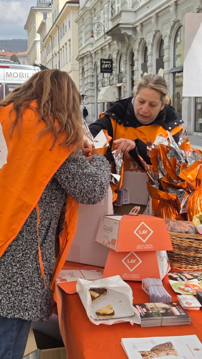 LAV Trieste tweet media