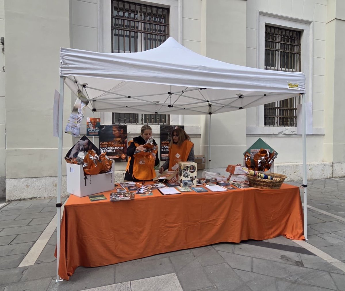 LAV Trieste tweet media