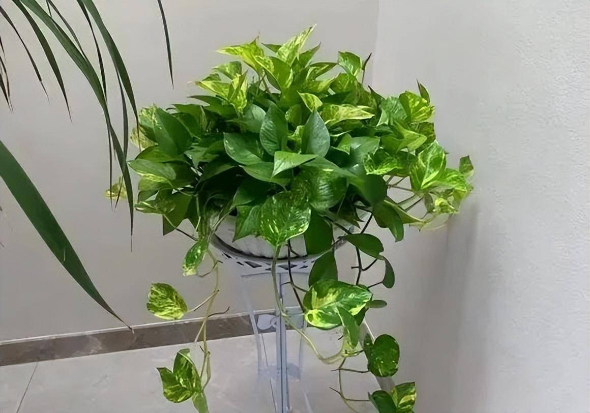 Casey Barkhurst tweet media