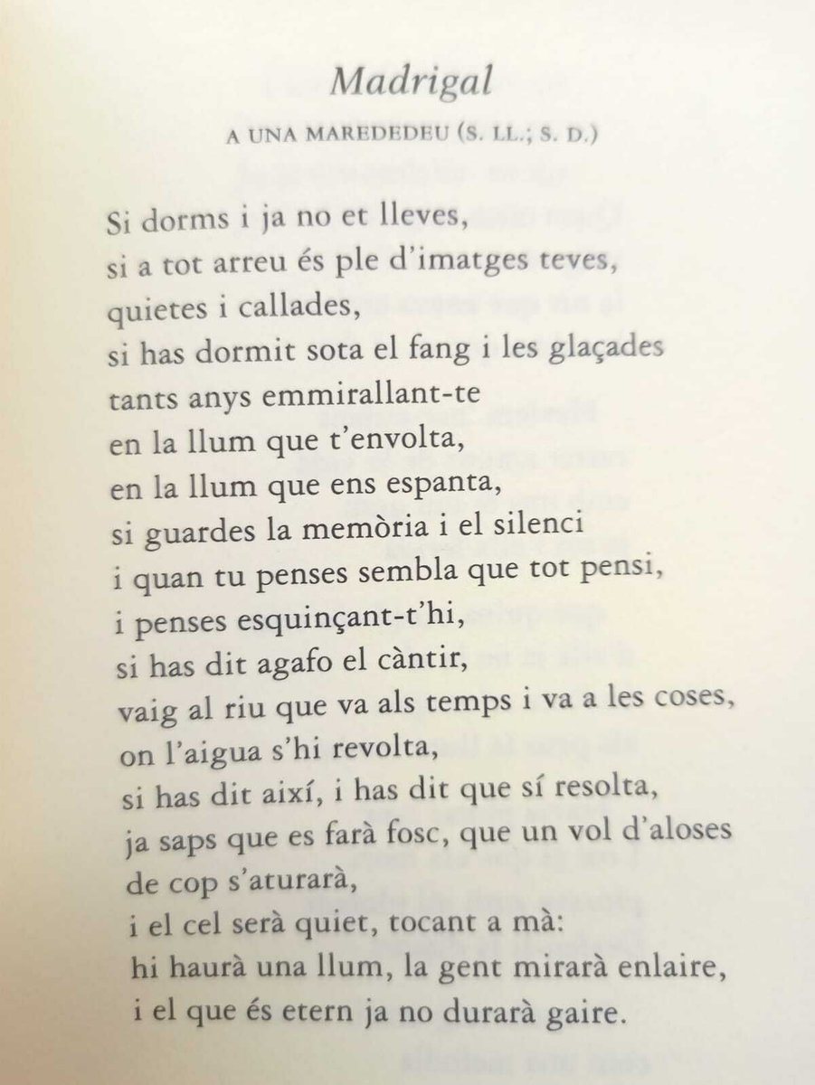 La Lectora tweet media