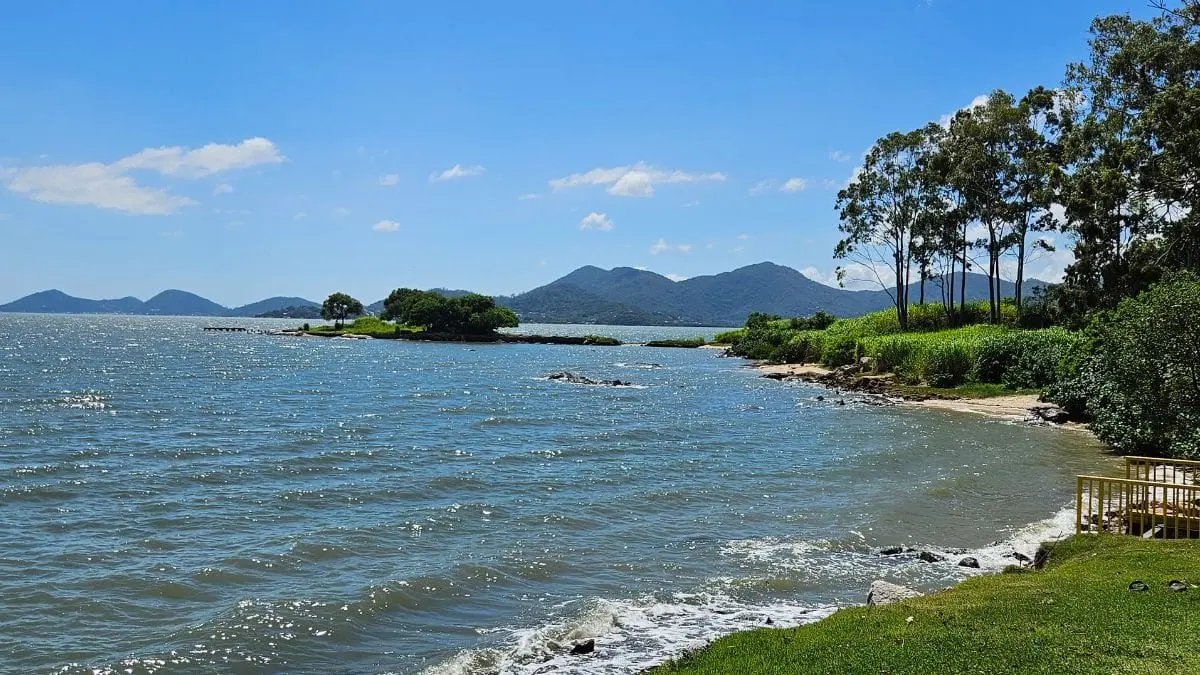 renatoigor tweet media