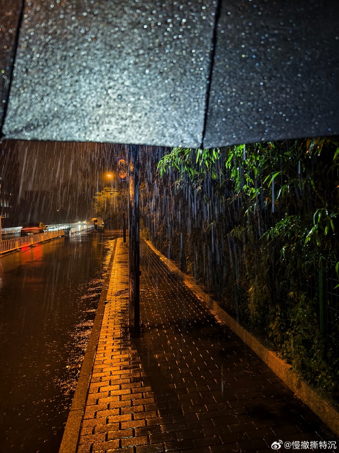 محمد محمود tweet media