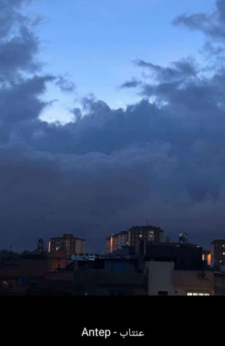 BrickTop tweet media