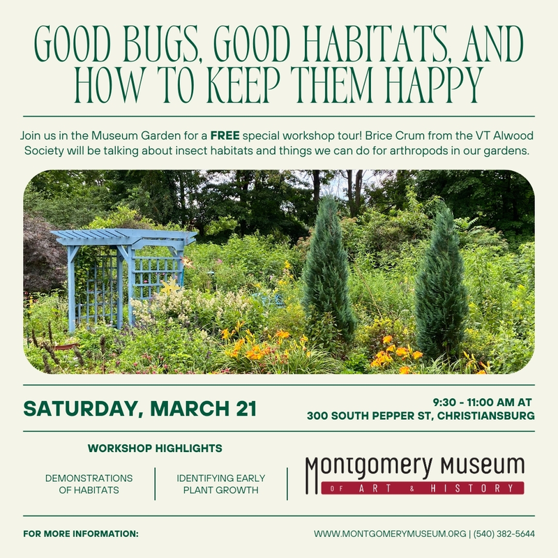 NextThreeDays.com tweet media