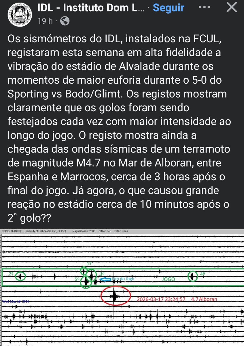 Raça de Leão 🏆🏆 tweet media